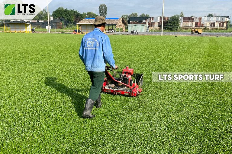 Chăm sóc bảo dưỡng sân cỏ tự nhiên