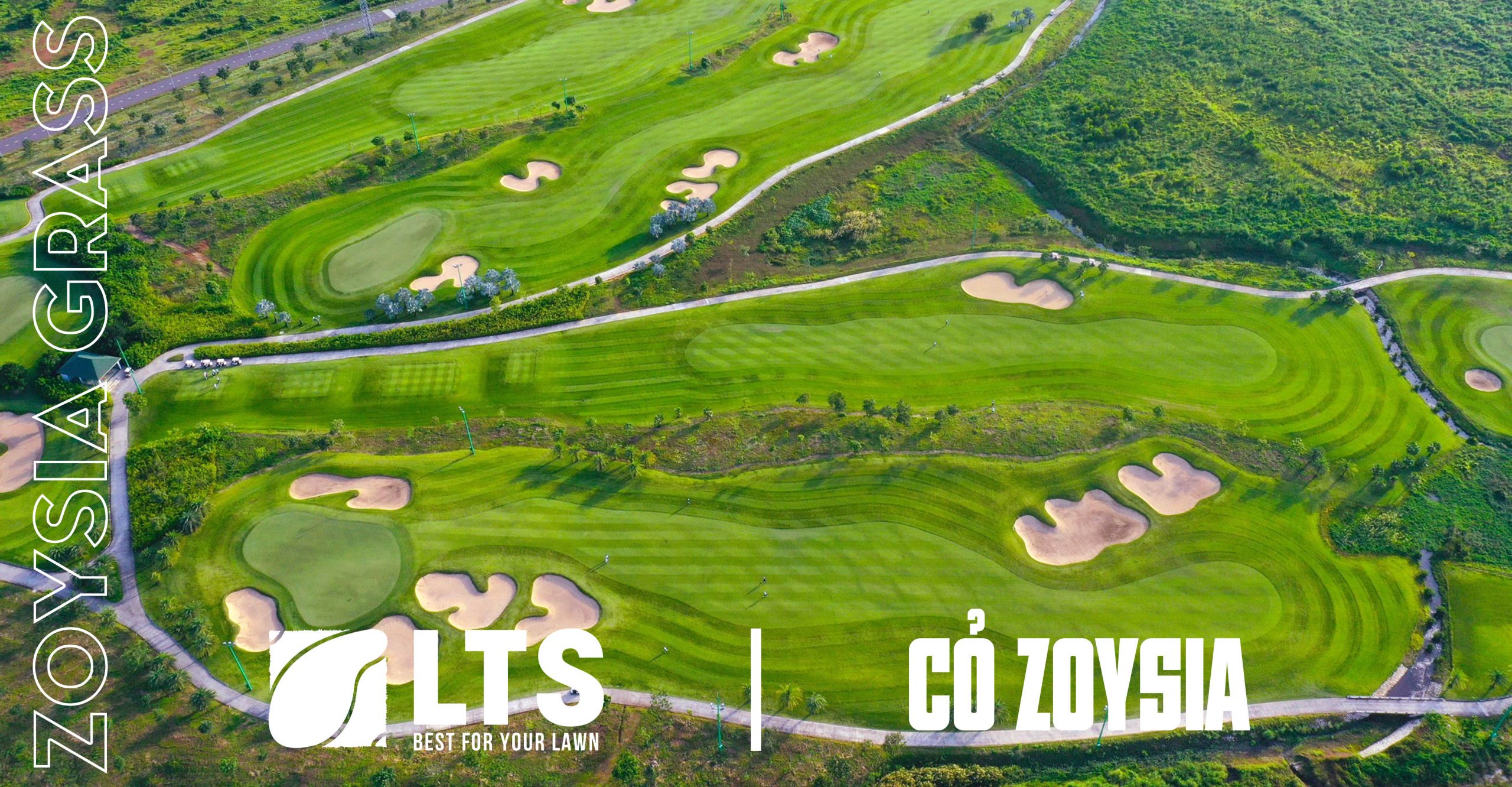 Cỏ Zoysia - Banner