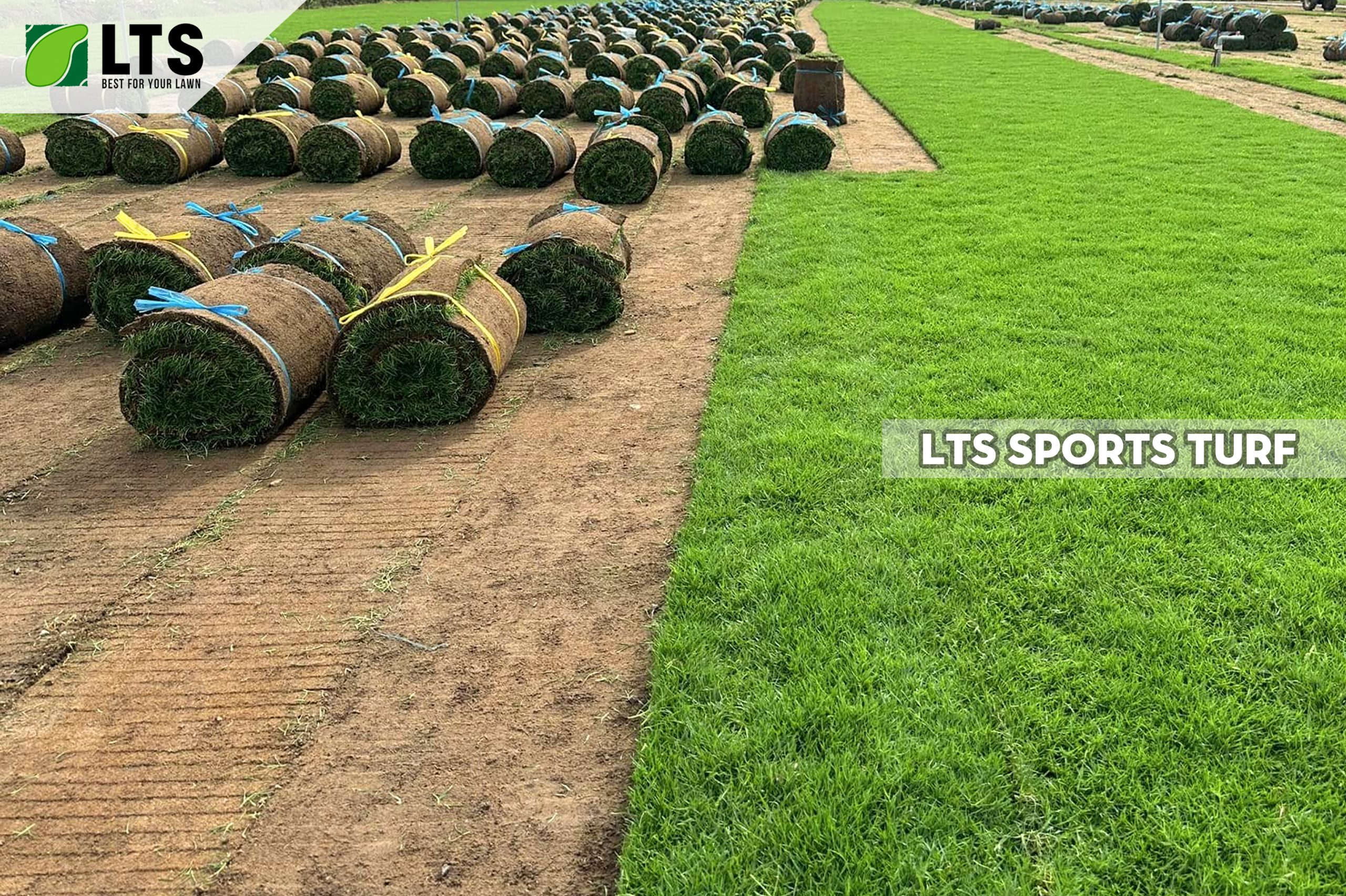 Về chúng tôi LTS Sports Turf 3